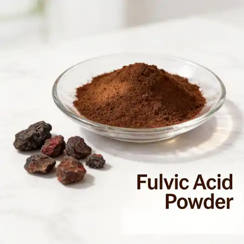 Fulvic Acid Powder in Detox Programs: Does It Work?